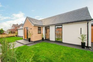 Photo 42- click for photo gallery